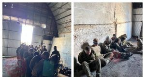 MixCollage 15 Aug 2024 11 56 AM 299