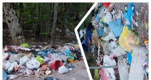 MixCollage 24 Aug 2024 06 26 PM 2227