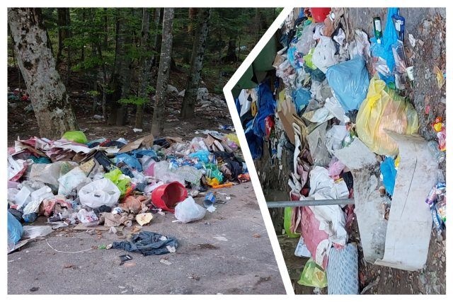 MixCollage 24 Aug 2024 06 26 PM 2227