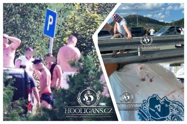 MixCollage 26 Aug 2024 05 23 PM 3057