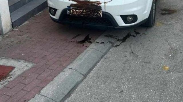 a7666a98 6b83 4c03 9328 2269a005bac1