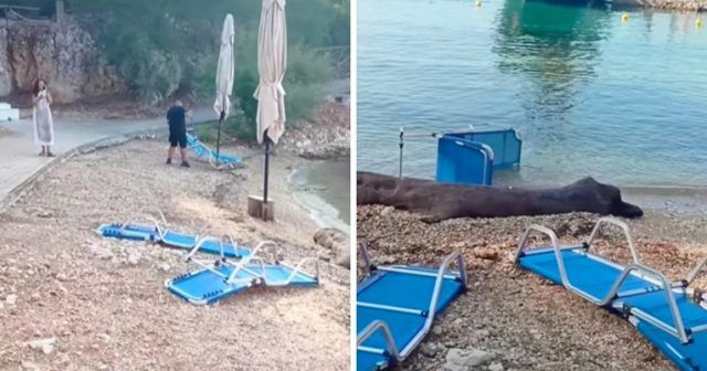 c5f0ccaf e829 4649 b579 b0cc0b4c3343