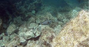 dcd98af7 b709 4bc1 aab4 c6ed4a0f3176