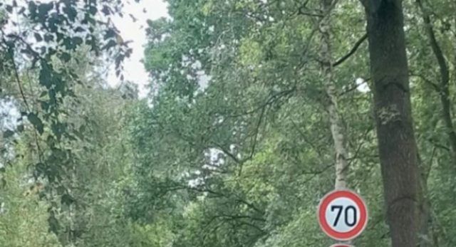 f2b9a368 0c33 406b be14 ffe1e5bfec68