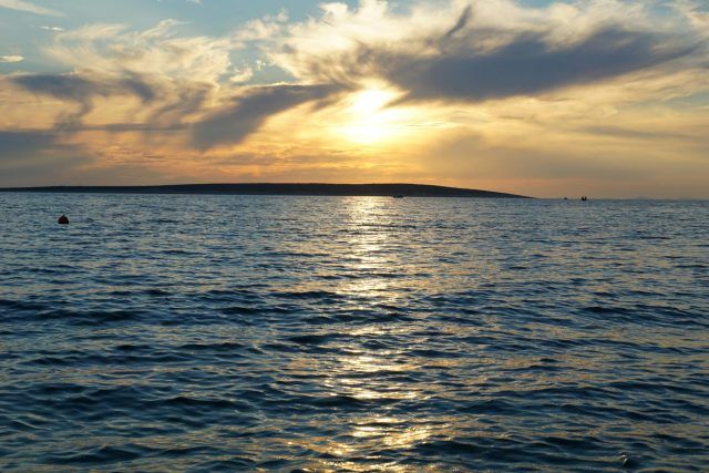 pexels alexboxofdreams 10559620 pexels alexboxofdreams 10559620