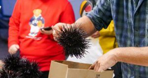 pexels kindelmedia 8352348