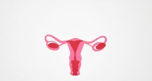 pexels nadezhda moryak 7467100