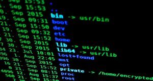 pexels pixabay 207580