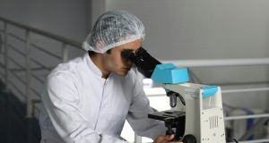 pexels pixabay 356040