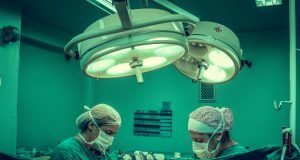 pexels vidalbalielojrfotografia 1250655