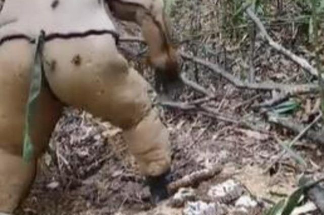 1532466 bez naziva ls