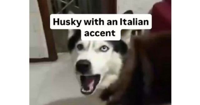 3e1f3285 a2b0 40fe 8bee 34212ab07156