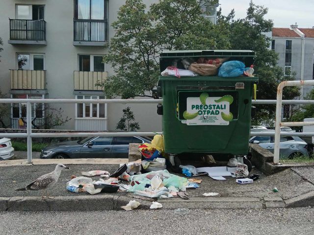 458936531 1114152156745411 5913789069852310712 n