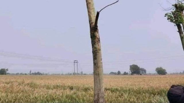 50a961dd b735 4f4e a67d e5eb8c128fd5