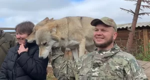 768x432 ba054e7c 9d09 11eb 870c cedfb09875dd (4)