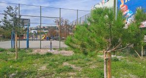 Igralište Delta posađeno stablo