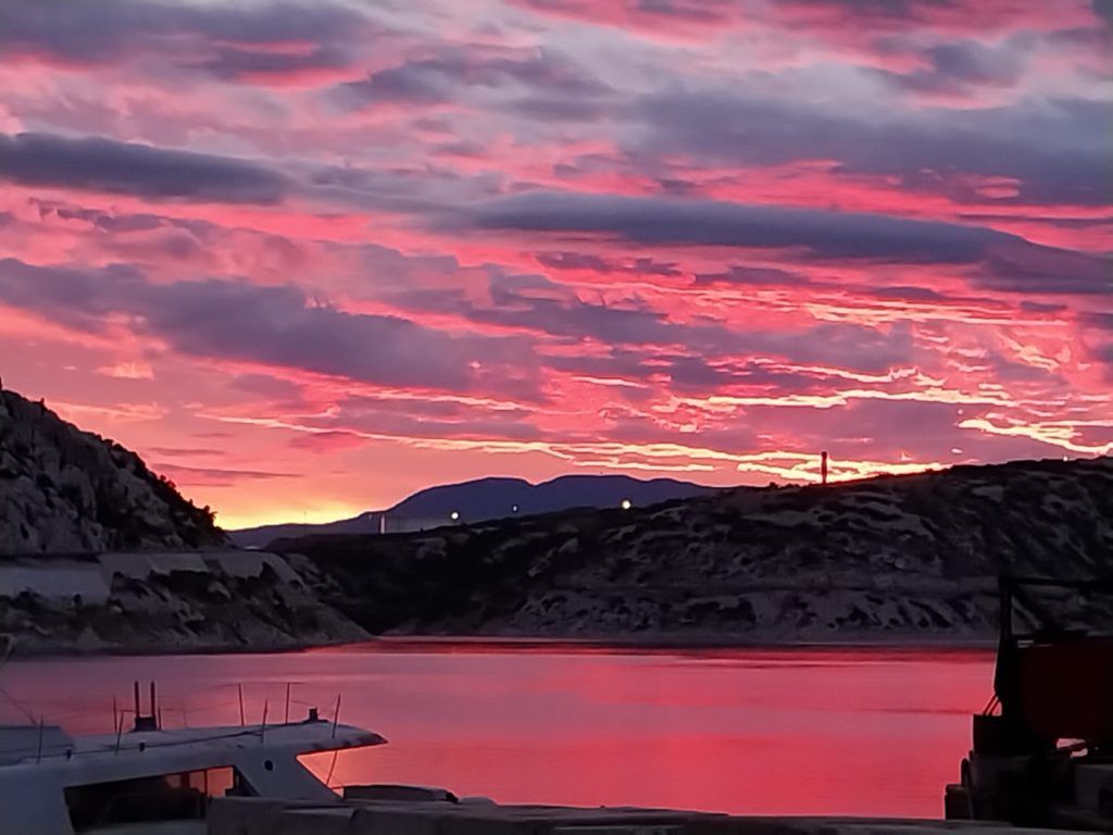 Nataša Dragičević