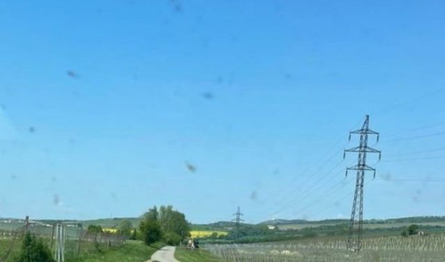 d40bcda3 d7b1 4d19 9100 5c10dce24628