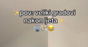 db512349 5be8 4e45 a656 a2fe0dde4236