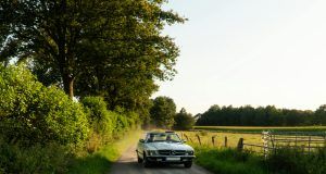 pexels alexfu 28574933