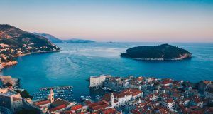 pexels lucianphotography 3566139 (1)