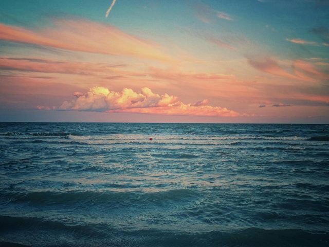 pexels vaidas vaiciulis 1435848 2936158