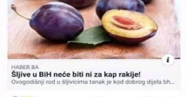 046844e4 9f68 41f1 a8cc 0343b2b10716