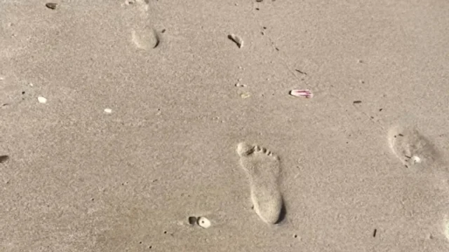 1024x576 ba055070 9d09 11eb a6aa cedfb09875dd (5)