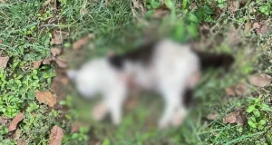 1024x576 ba055070 9d09 11eb a6aa cedfb09875dd (6)