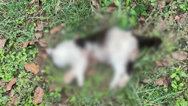 1024x576 ba055070 9d09 11eb a6aa cedfb09875dd (6)