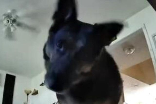 1535316 screenshot 20241004 204318 ls 1535316 screenshot 20241004 204318 ls