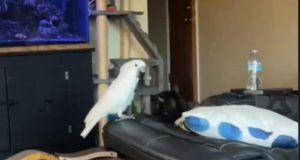 1535575 snimak ekrana 20241006 175714 ls