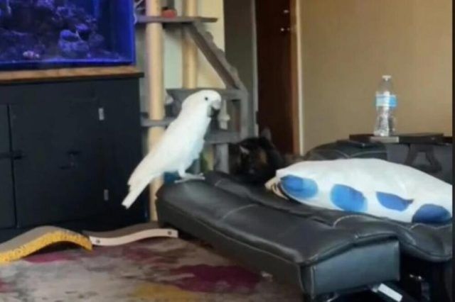 1535575 snimak ekrana 20241006 175714 ls