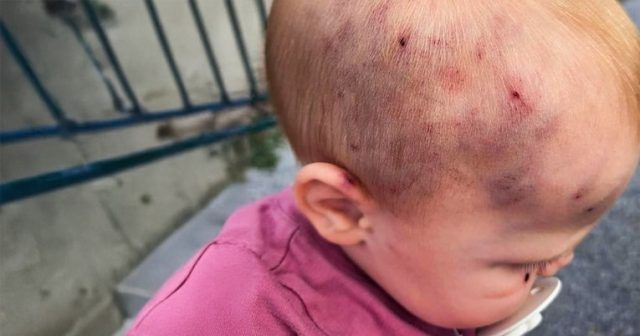 160818af 01fb 429e 8f40 2c7a49efb299 (1)