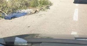 253f0478 e80c 4184 9454 faa72f850d37