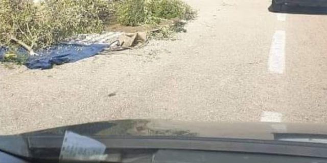 253f0478 e80c 4184 9454 faa72f850d37