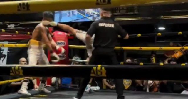 42f2d44c 75a5 4447 9971 ef1a9c7af8ff