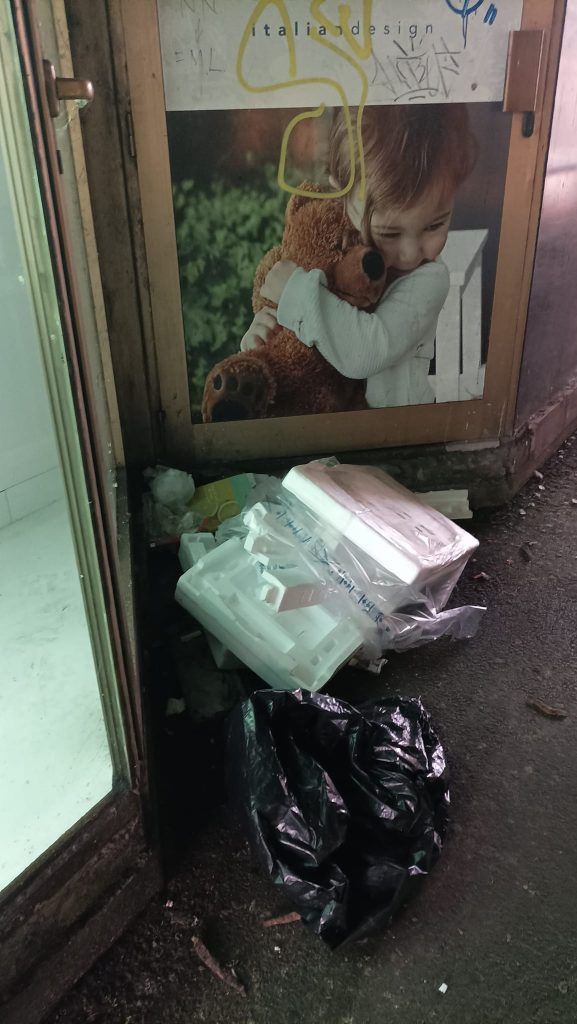 463194692 8474205979295019 3511034543657891293 n