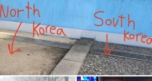 463417830 1115353067264977 8851086607298039395 n.v1