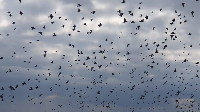 464615775 8609475969173649 7634752673369877897 n