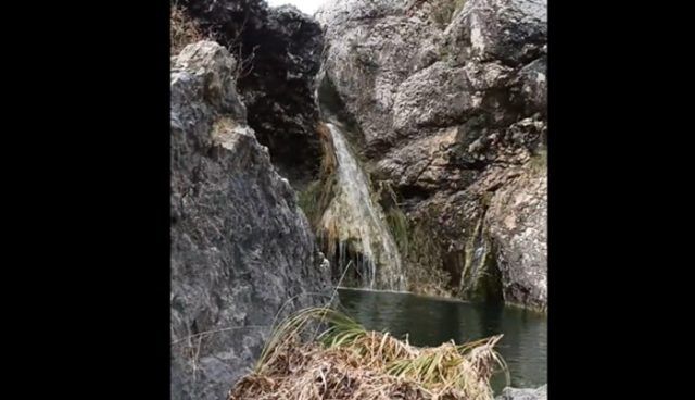 561fa047 7f8e 495d 8bb0 7cb2ea526312