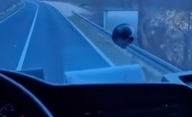 7c1b8dba afeb 42e1 83e2 7f8e6223cf9a (1)