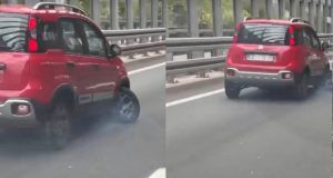 Panda1