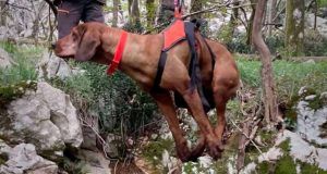 bcdaffe9 2e20 4426 abe4 c82c722ce641