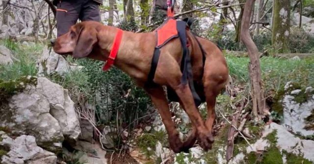 bcdaffe9 2e20 4426 abe4 c82c722ce641