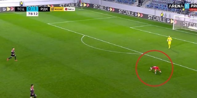 d5981a92 9dc6 40d6 8f09 45700431cd78 (1)