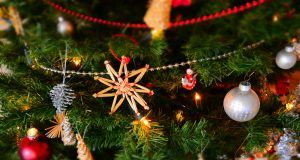 pexels est1307 250177