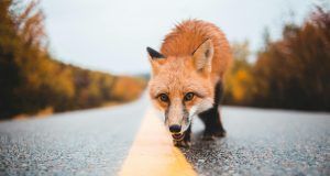 pexels introspectivedsgn 4157094 (1)