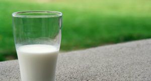 pexels pixabay 236010 (1)