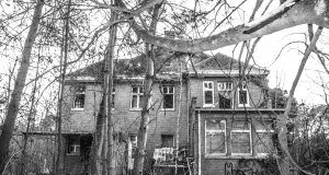 pexels webdexter 923269